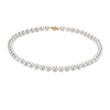 Akoya Pearl 18K Yellow Gold 8-8.5mm AA Pearl Necklace