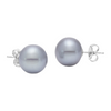 14K White Gold 9.5-10MM Gray Button Freshwater Pearl Earrings