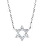 Shy Creation Jewelry - 14K WhiteGold 0.11 ct Diamond Star of David Necklace | Manfredi Jewels