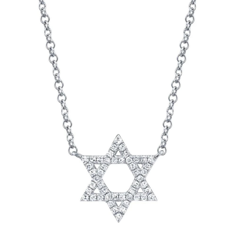 Shy Creation Jewelry - 14K WhiteGold 0.11 ct Diamond Star of David Necklace | Manfredi Jewels